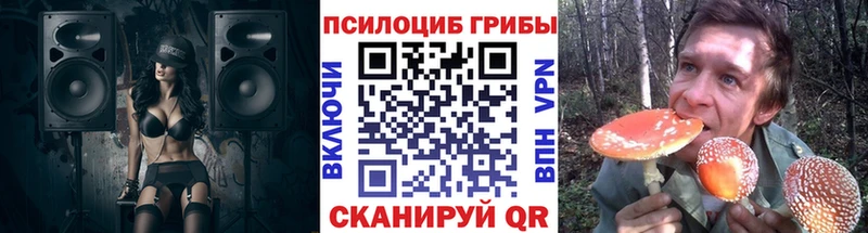 Галлюциногенные грибы мухоморы  наркотики  Салаир 